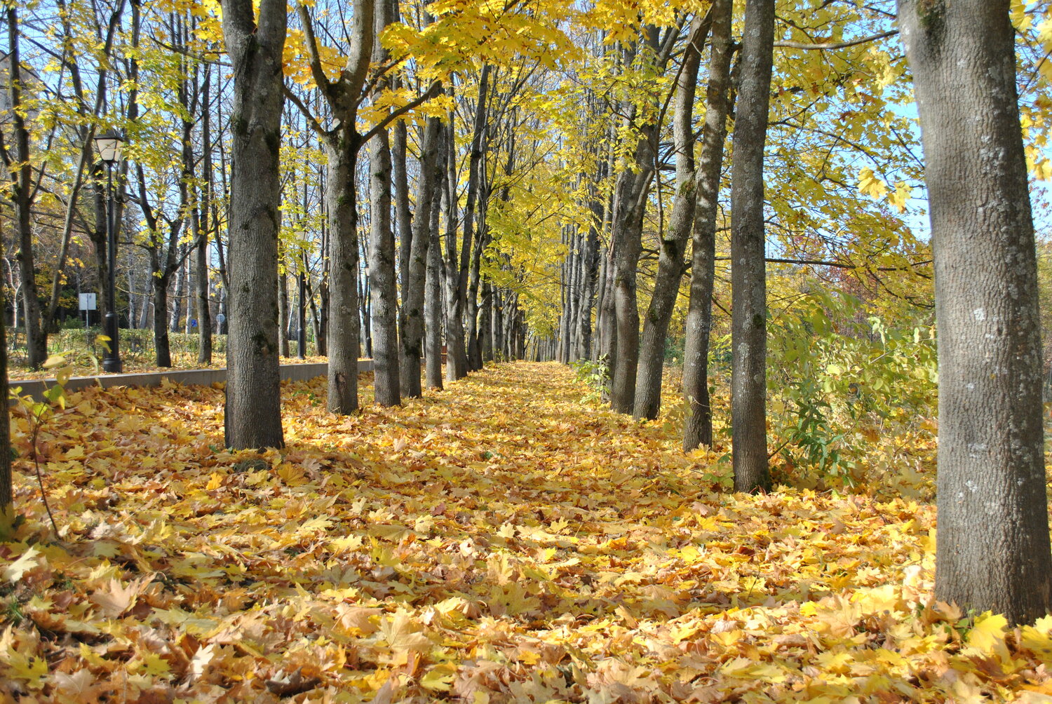 Photo #14094544