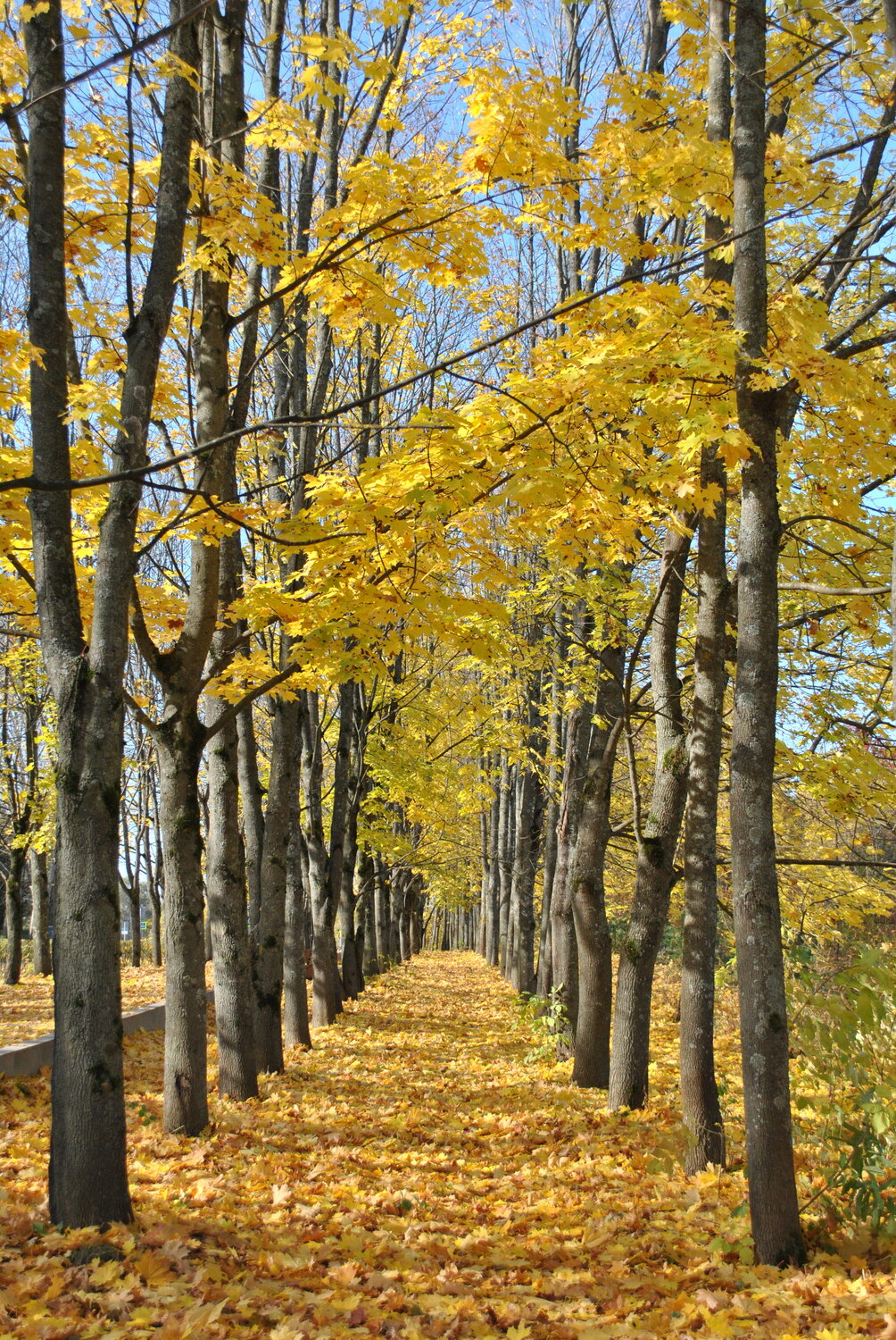 Photo #14094546
