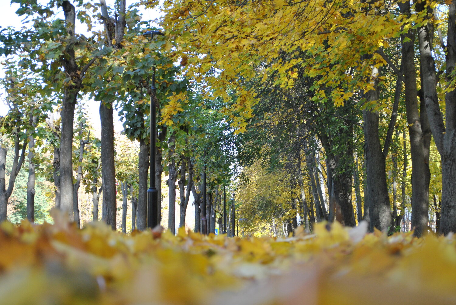 Photo #14094556