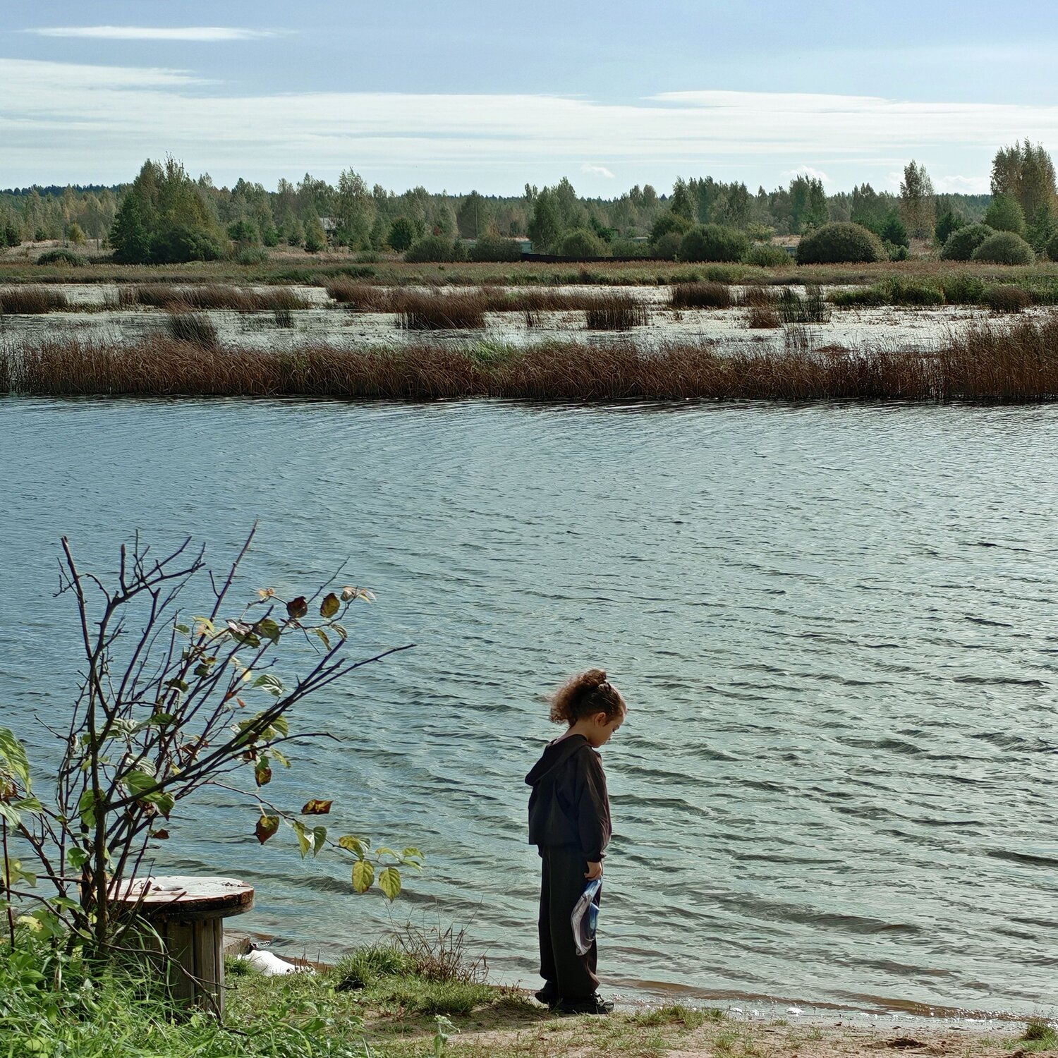 Photo #14094603