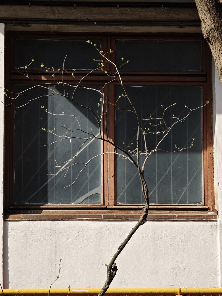 Photograph by Татьяна Татьяна