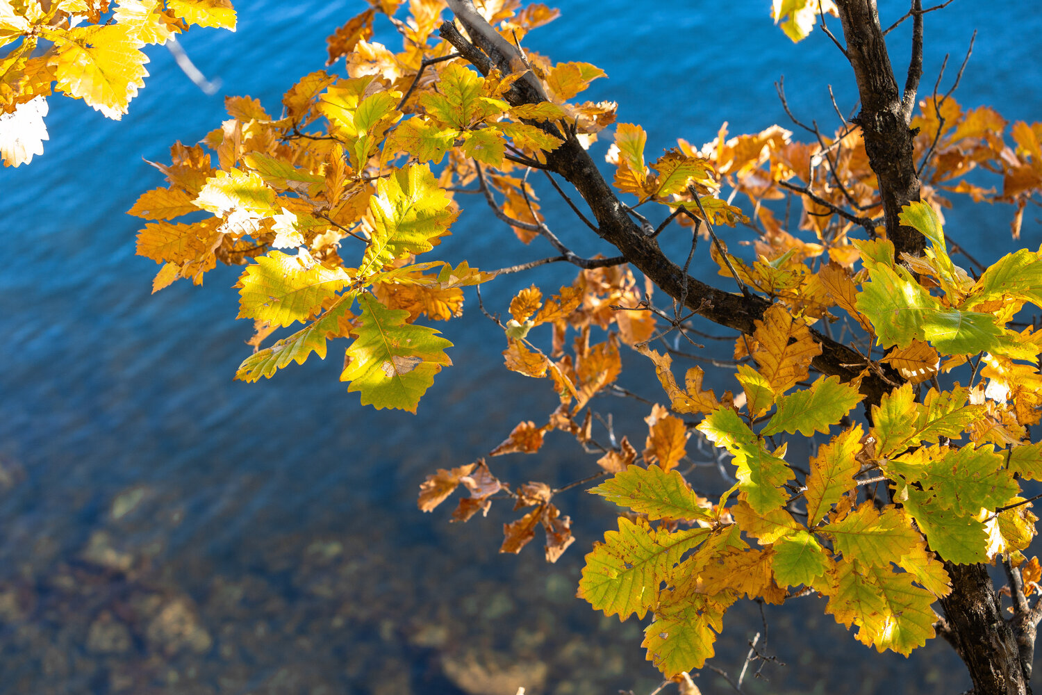 Photo #14094609
