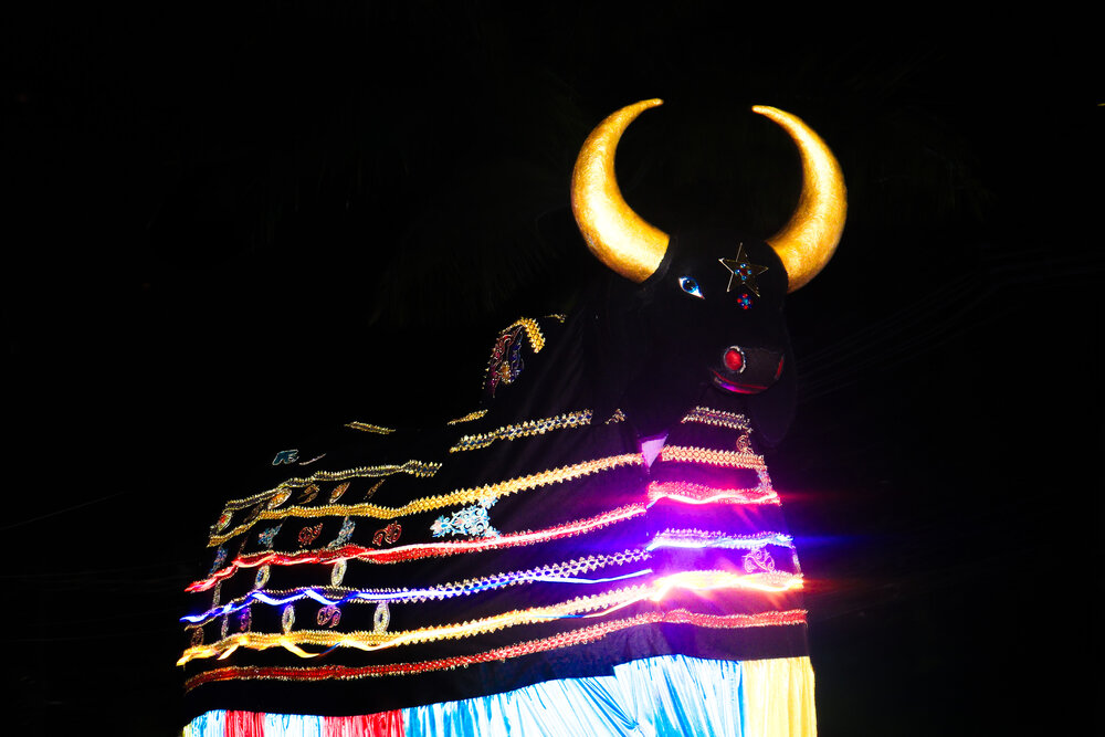 Photograph by Cristiane Terrazzan