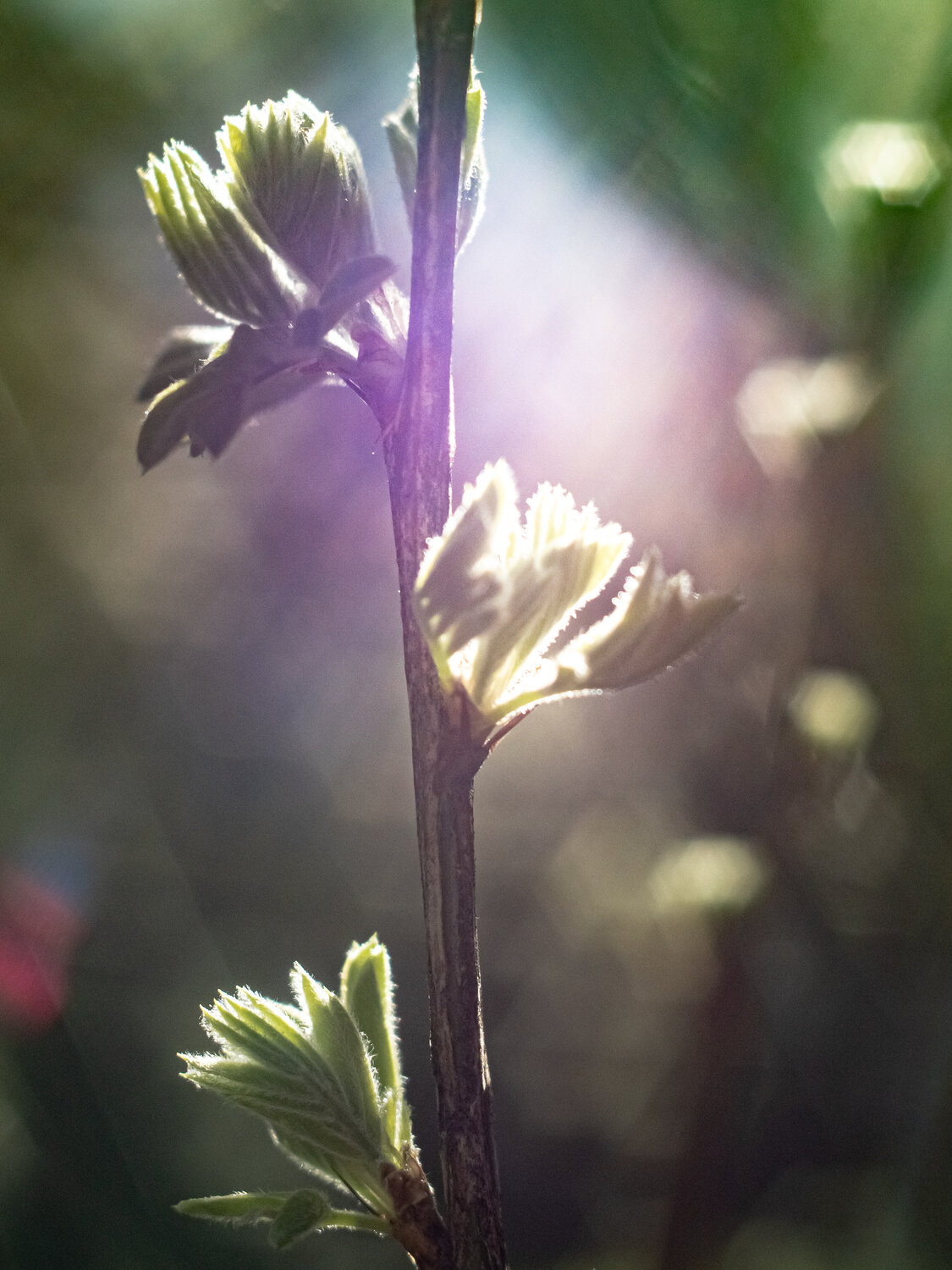 Photo #14094622