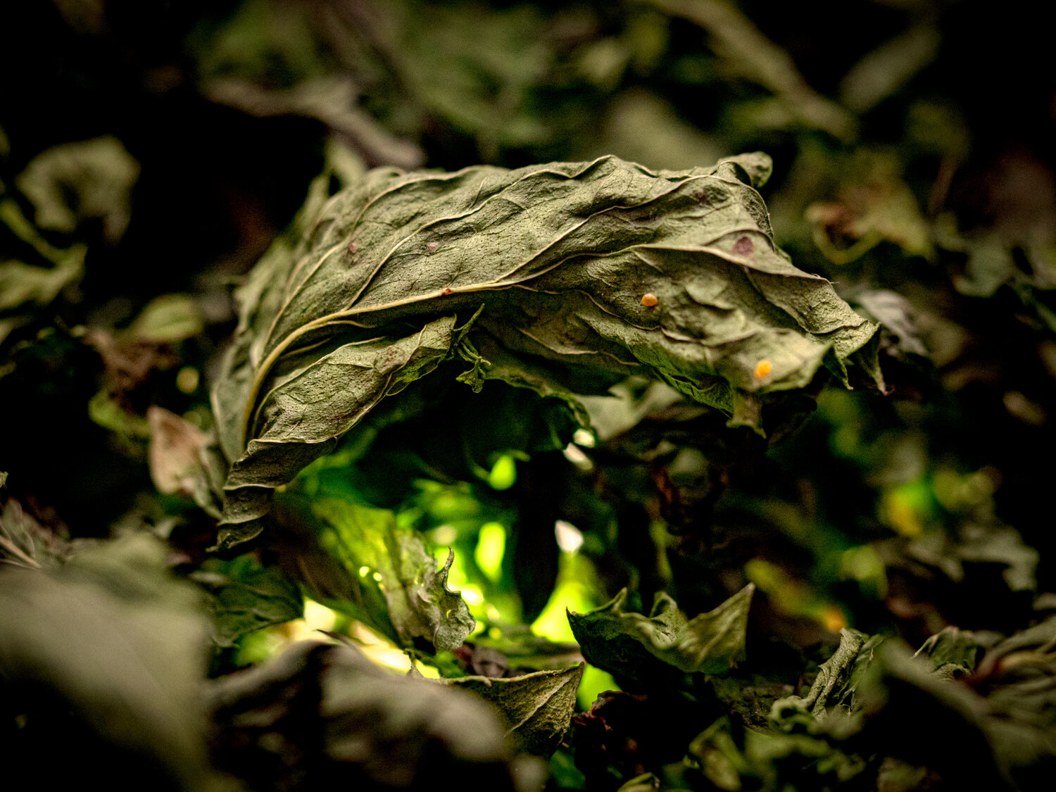 Photo #14094629