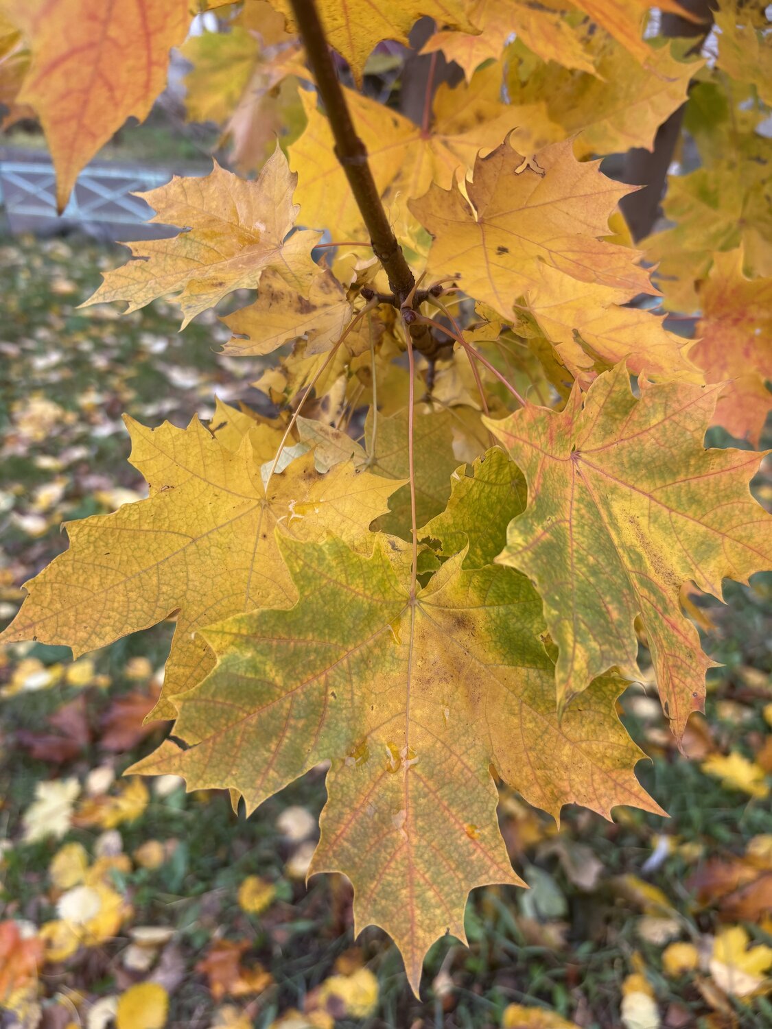 Photo #14094794
