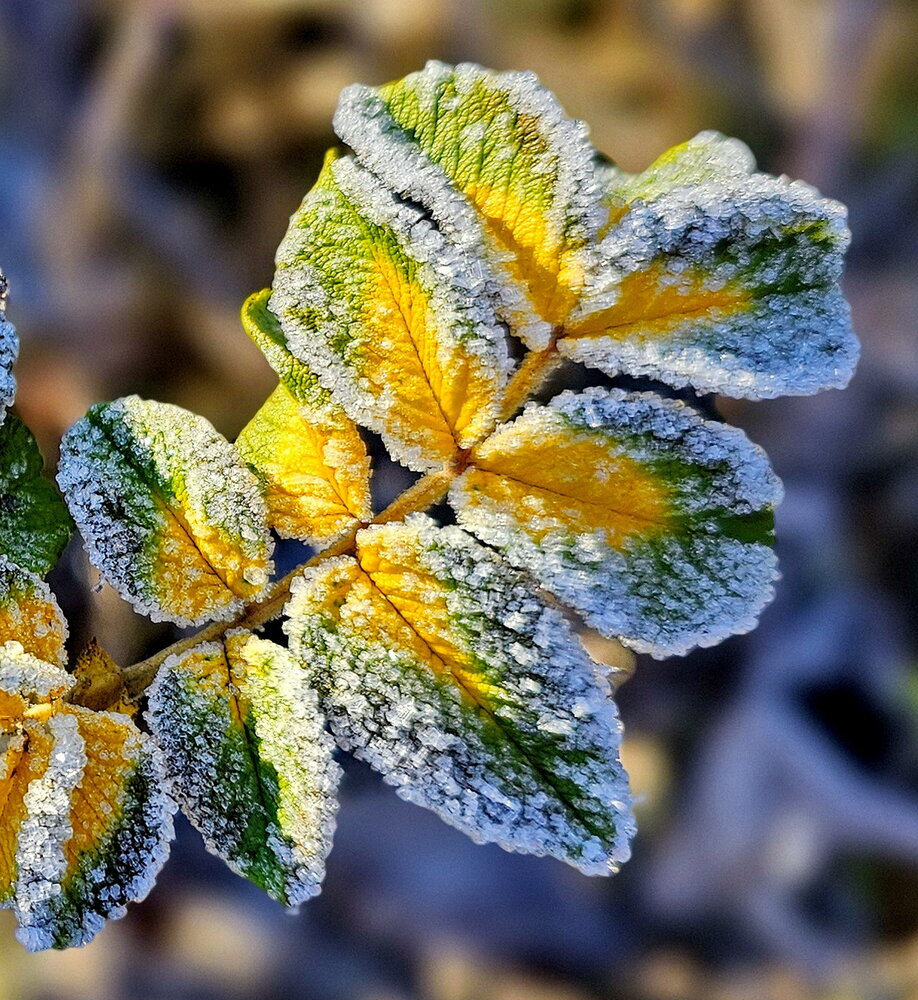 Photograph by Михаил Свиденцов