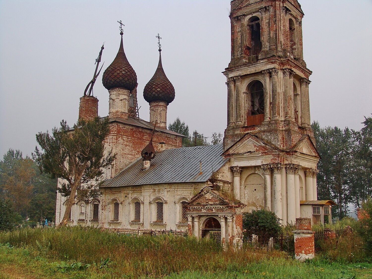 Photo #14094819