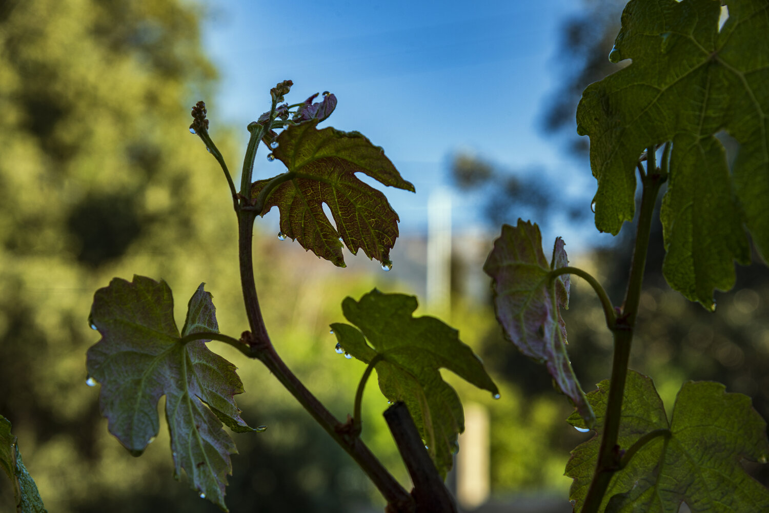 Photo #14094853