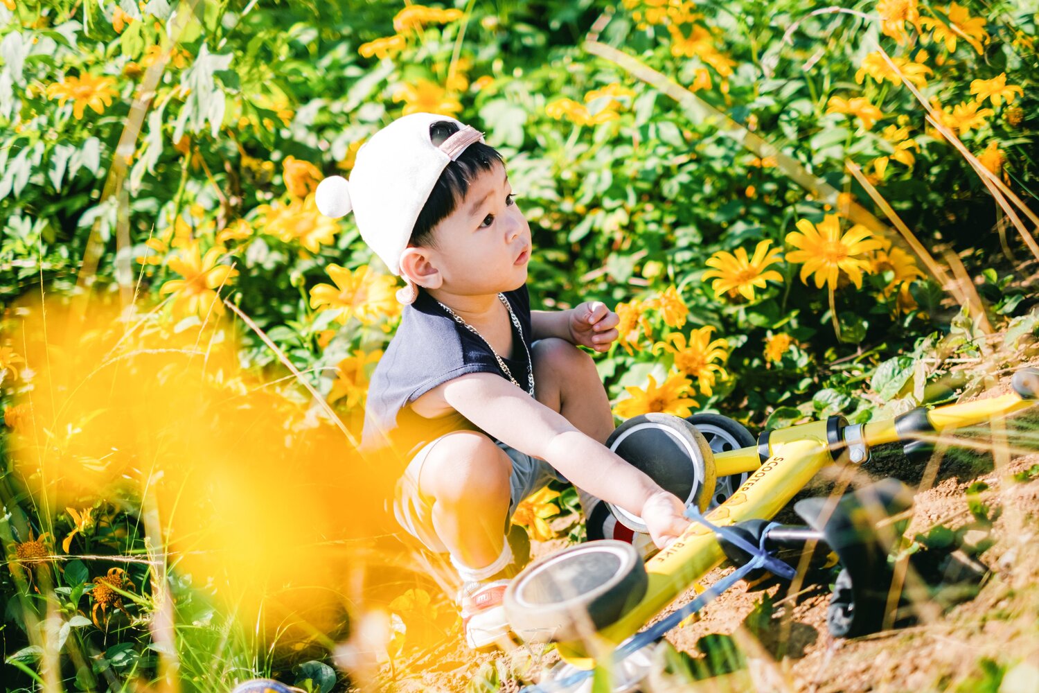 Photo #14094855