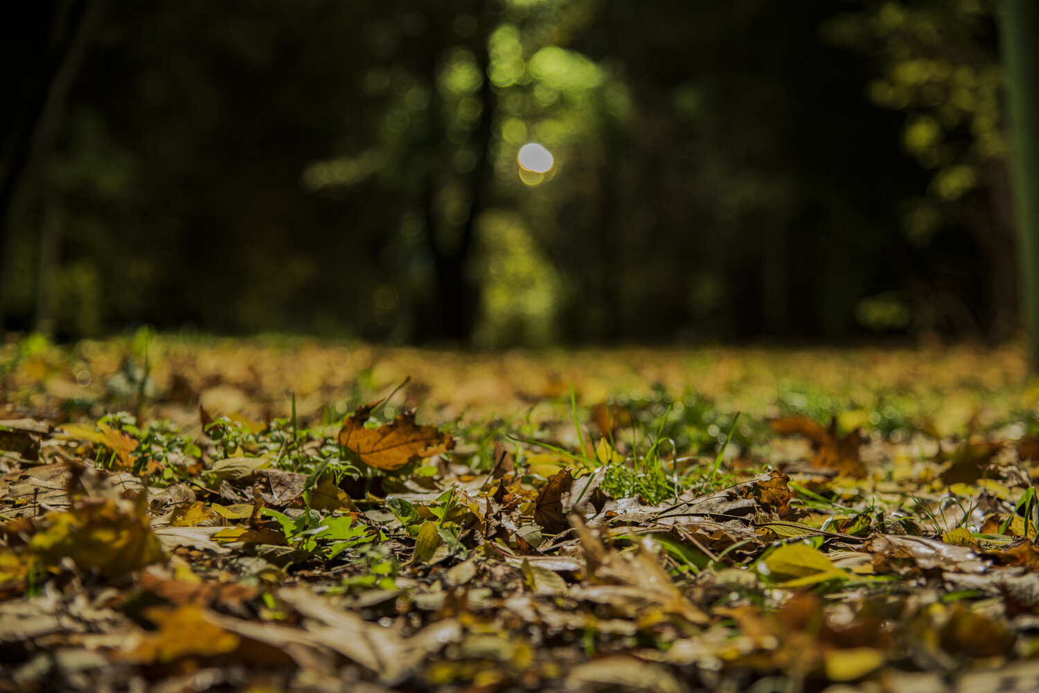 Photo #14094859