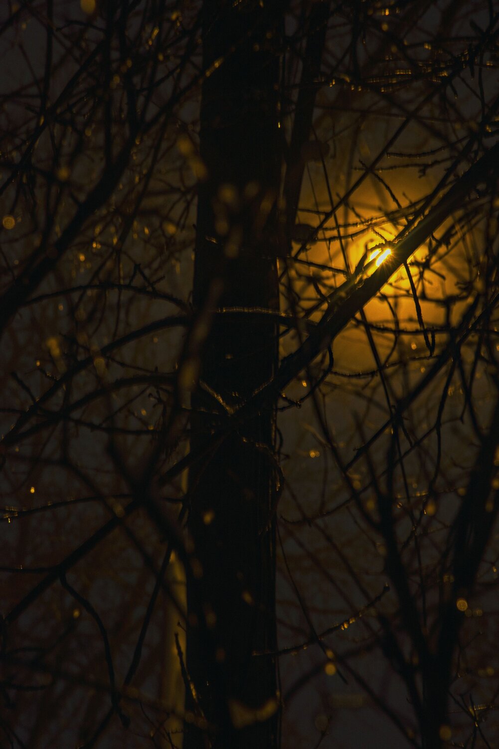 Photo #14094872