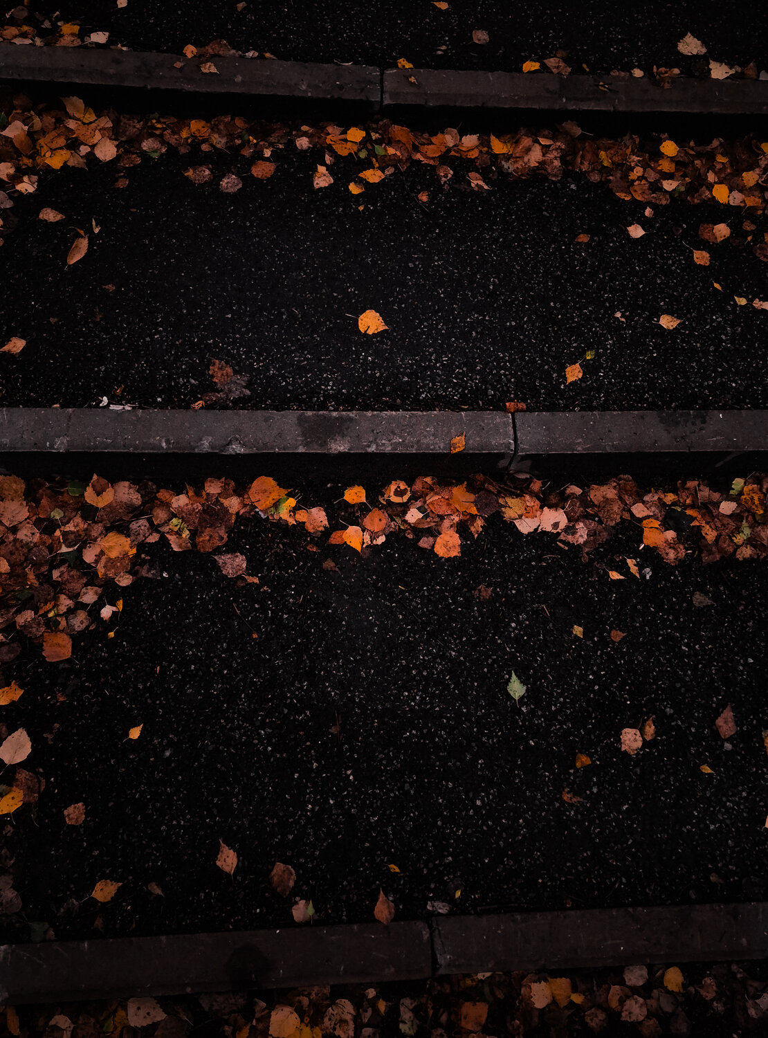 Photo #14094910
