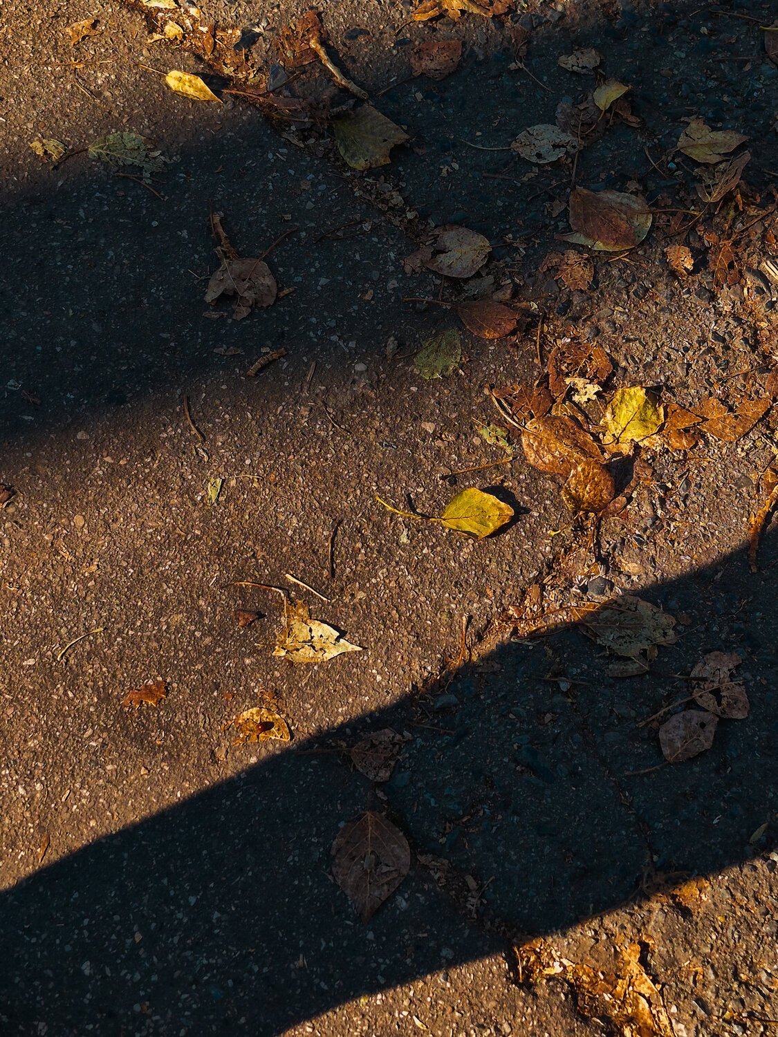 Photo #14094913