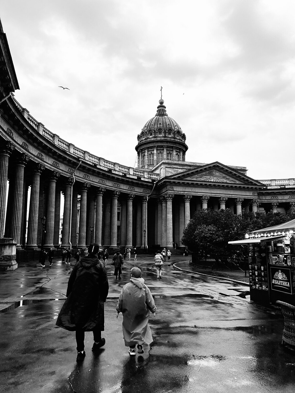 Photo #14094929