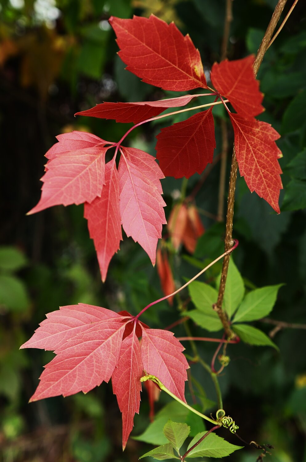 Photo #14094984