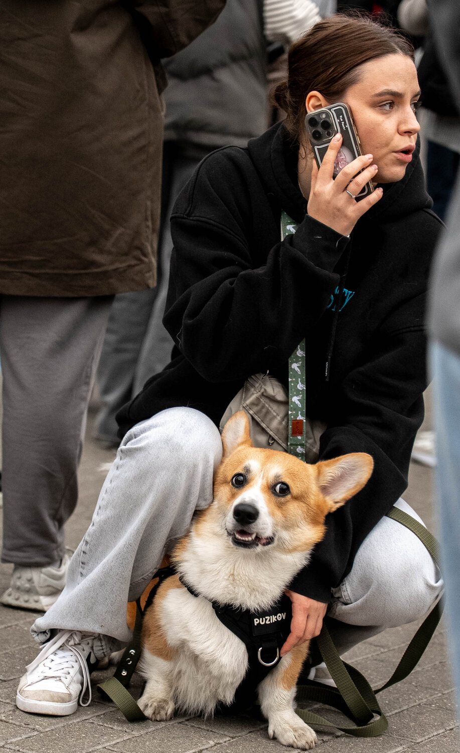 Photo #14095017