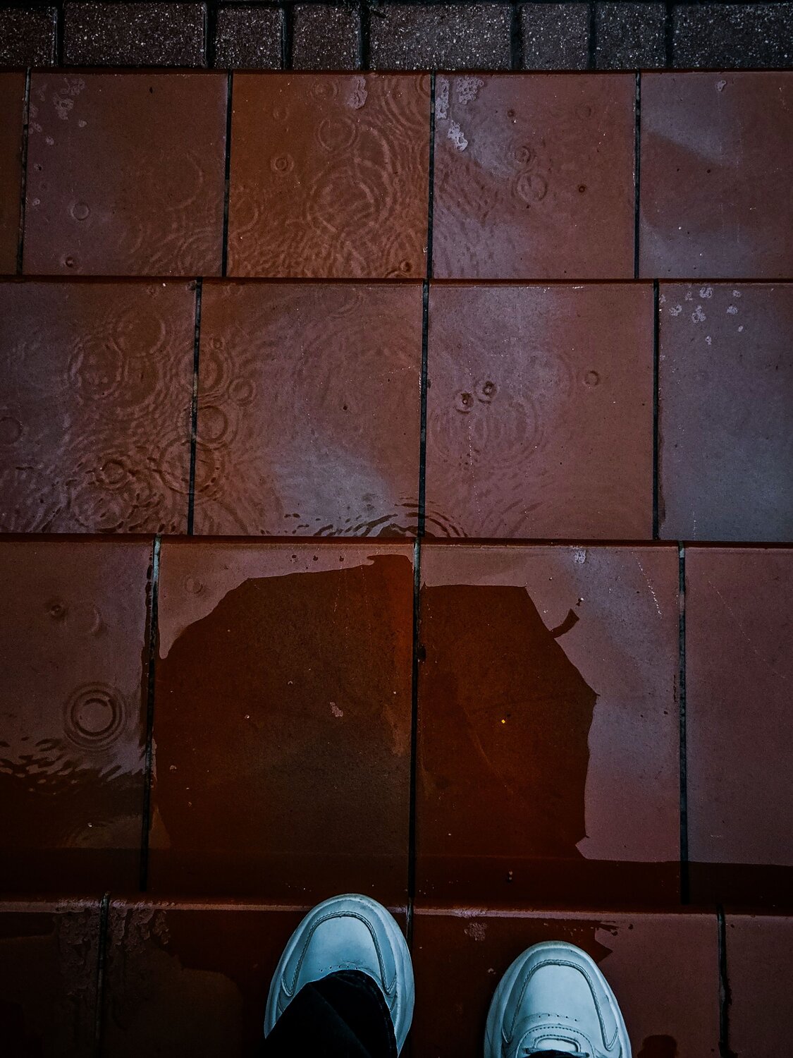 Photo #14095023