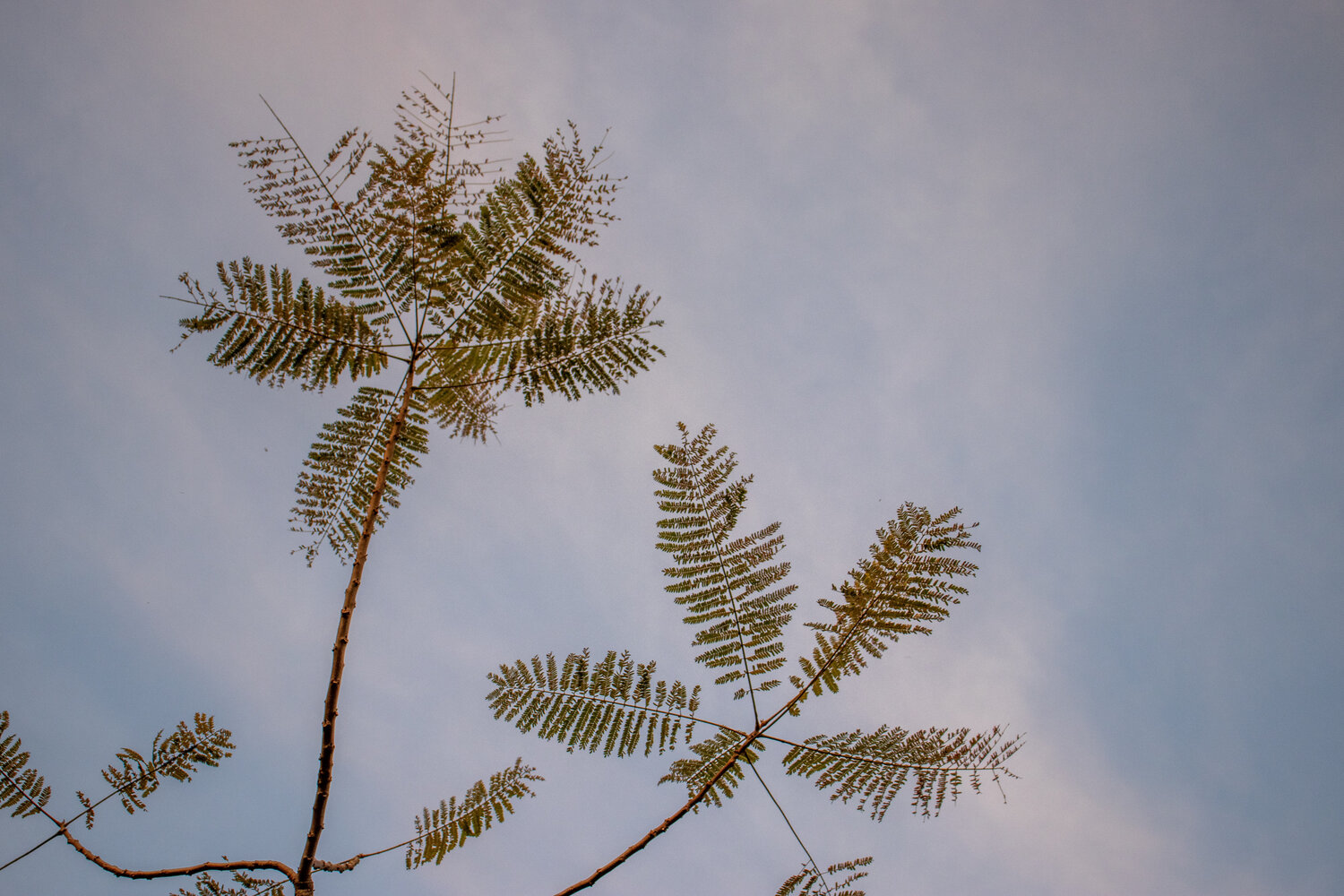 Photo #14095140