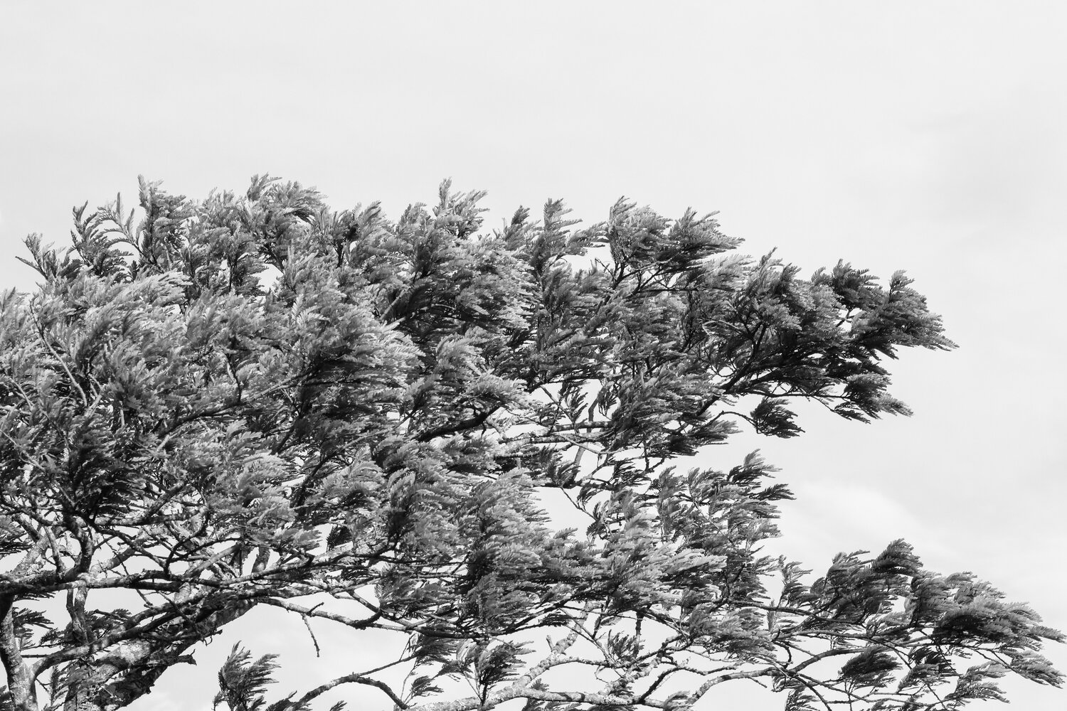 Photo #14095142