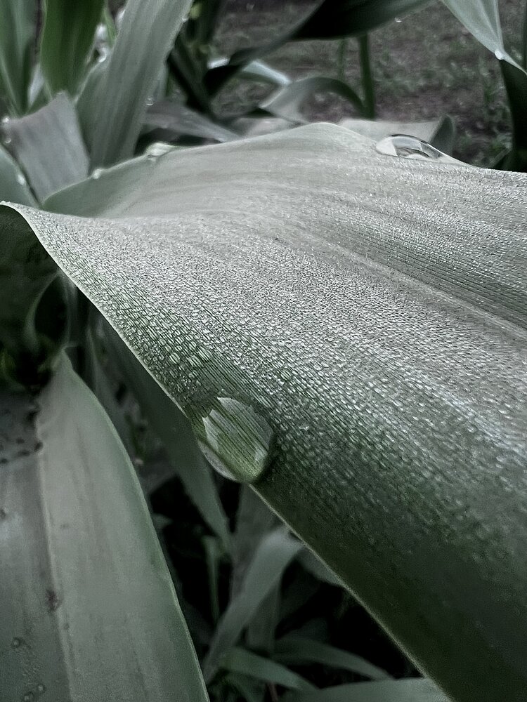 Photograph by 2laa abdelfattah