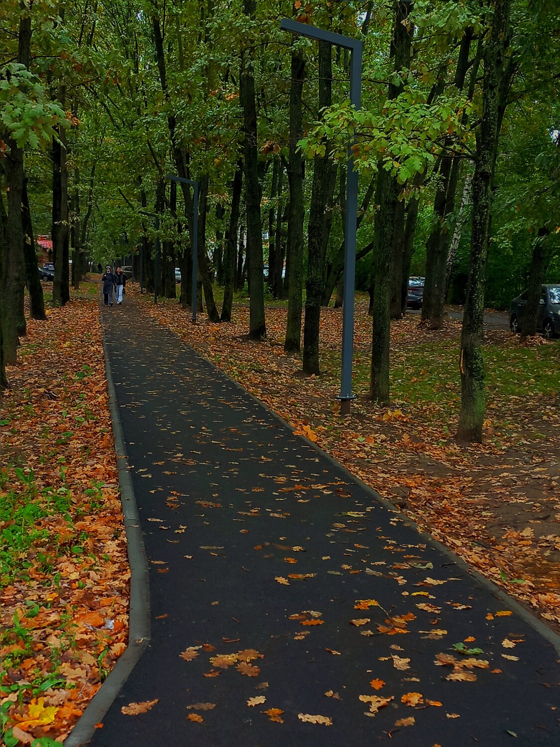 Photo #14095380
