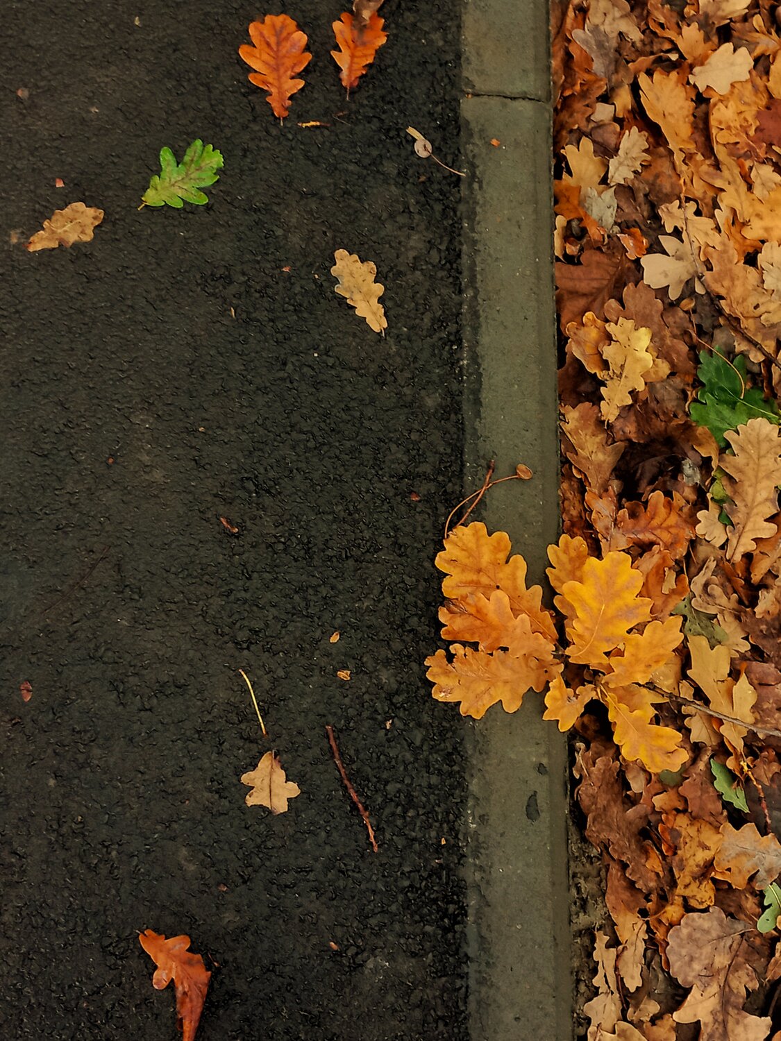Photo #14095381