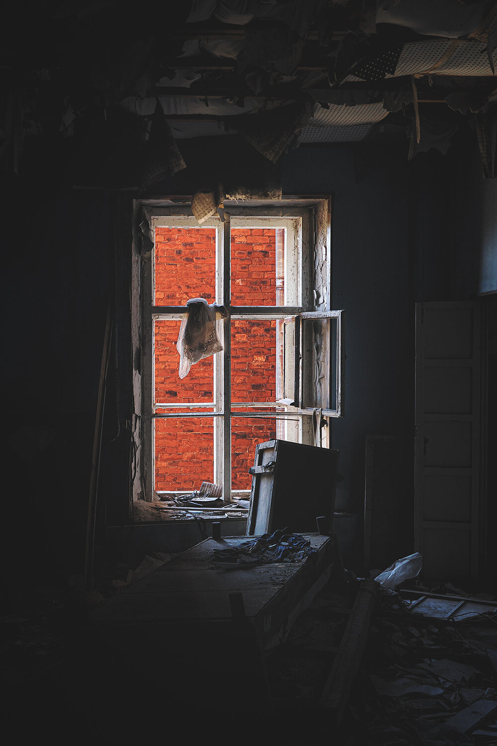 Photo #14095417