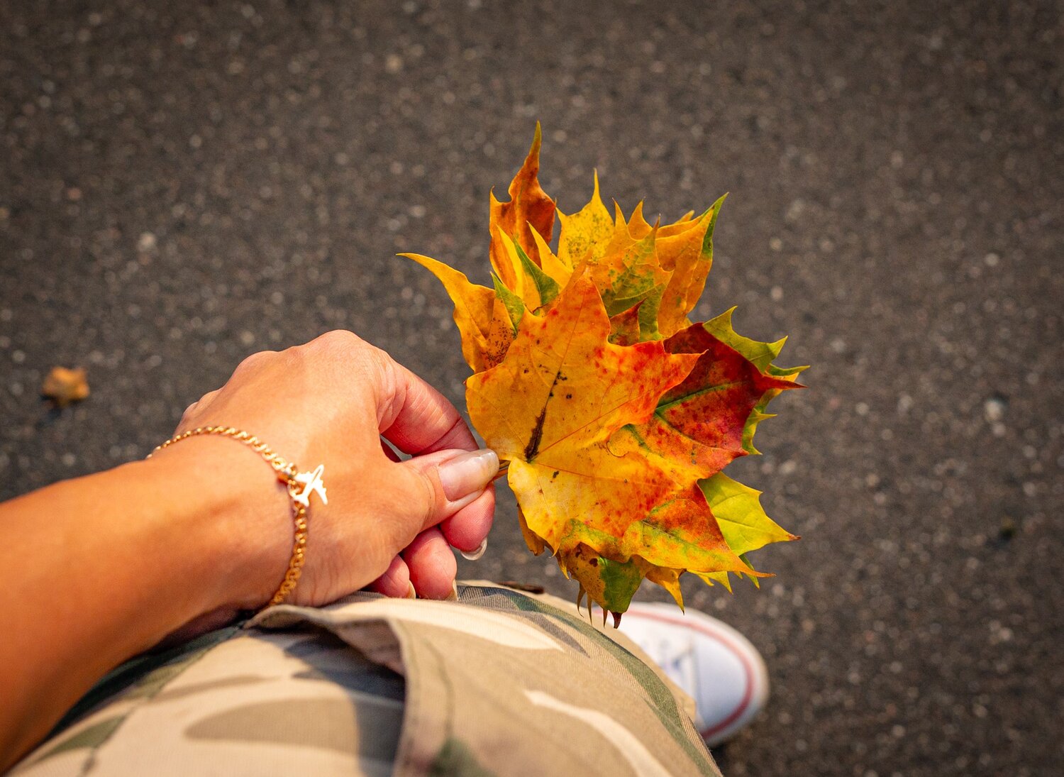 Photo #14095440