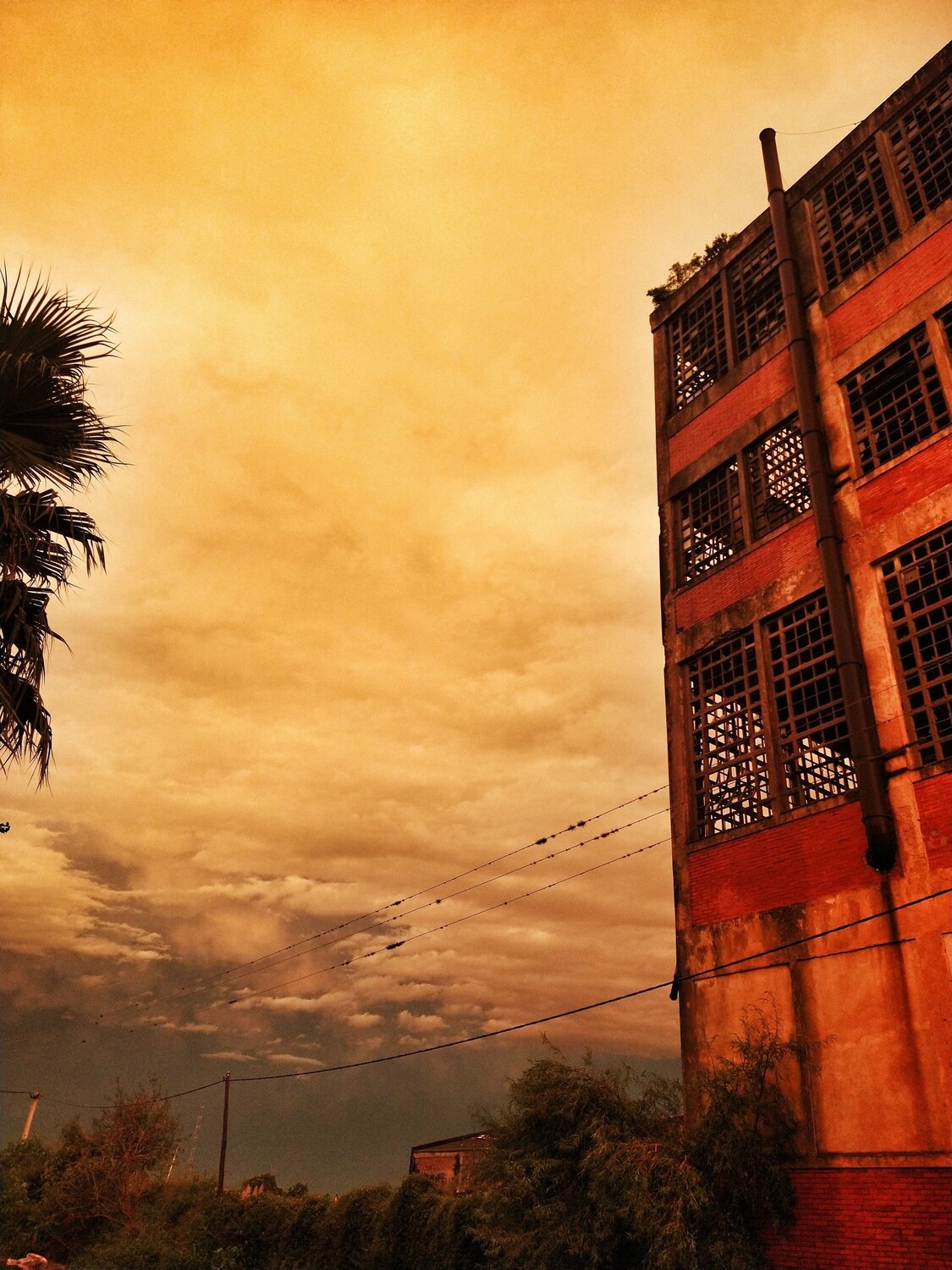 Photo #14095483