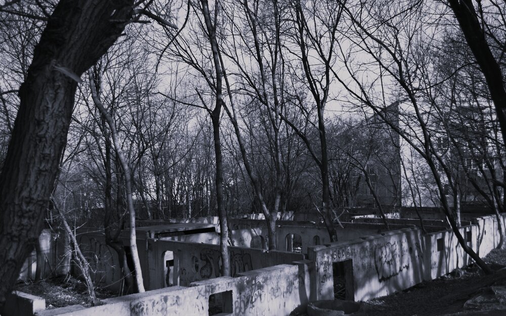 Photograph by Margo Pushkina