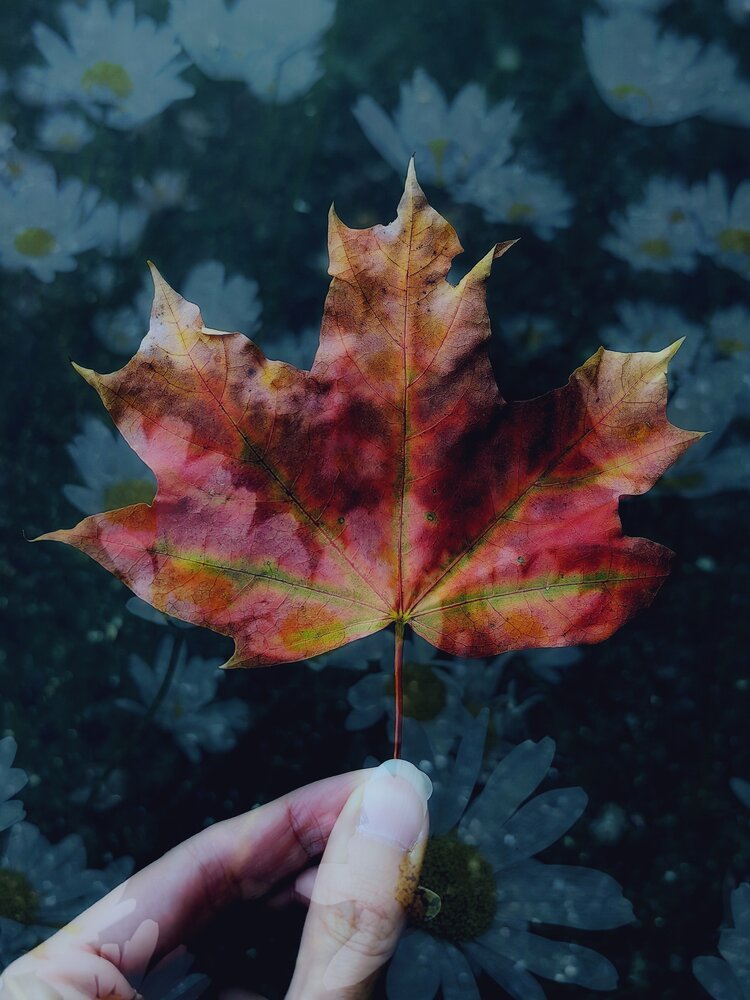 Photograph by Olga Golubkova