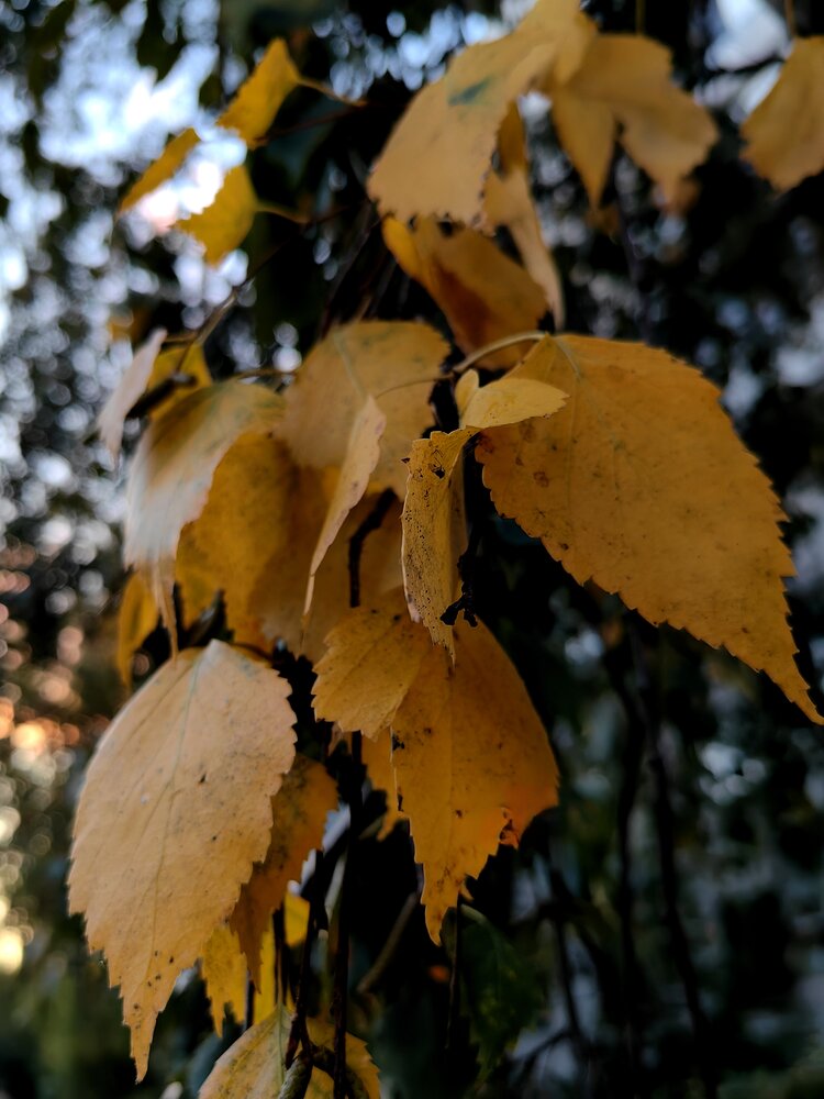 Photograph by Olga Golubkova