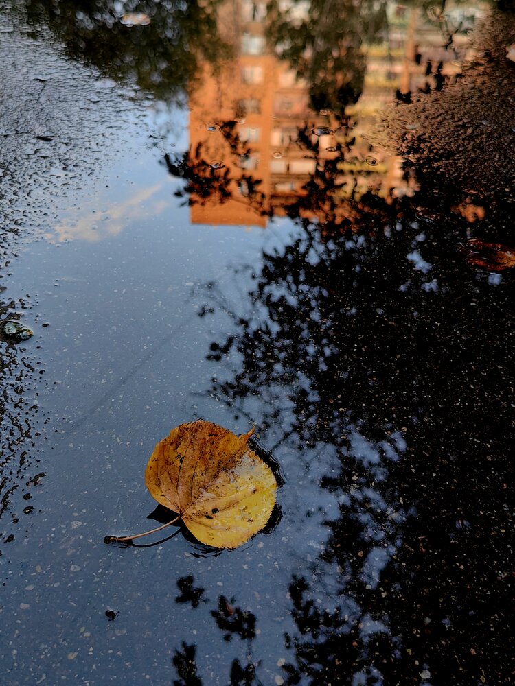 Photograph by Olga Golubkova