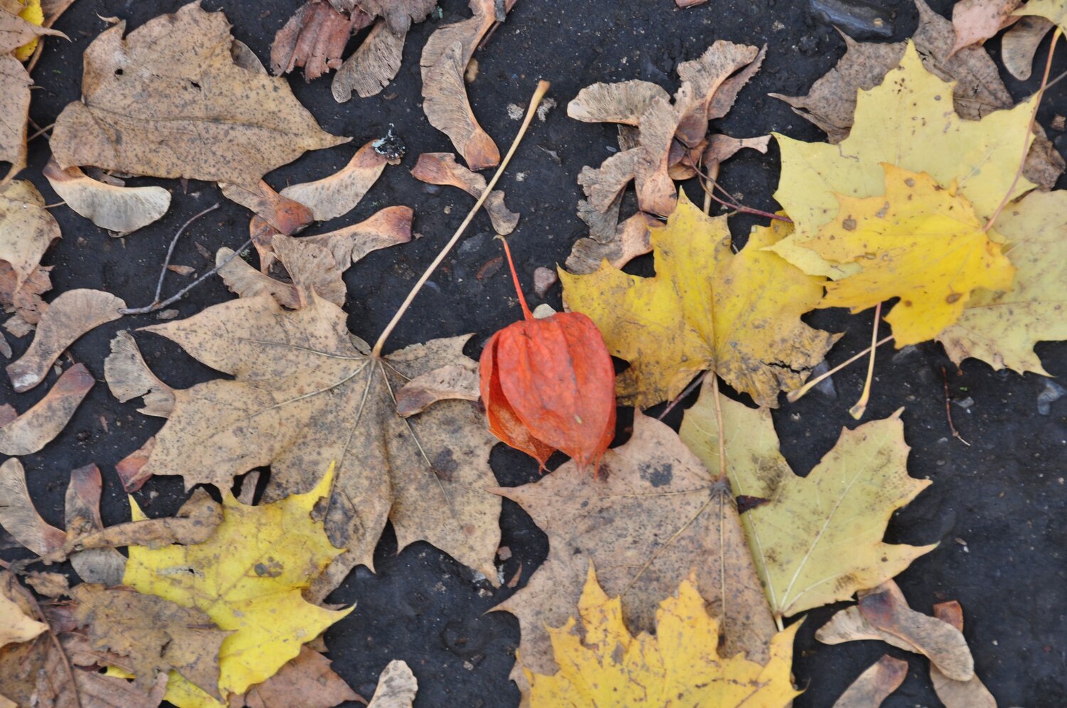 Photo #14095543