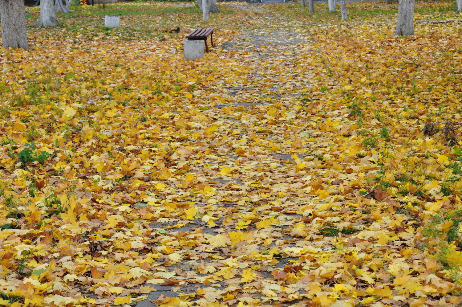 Photo #14095544