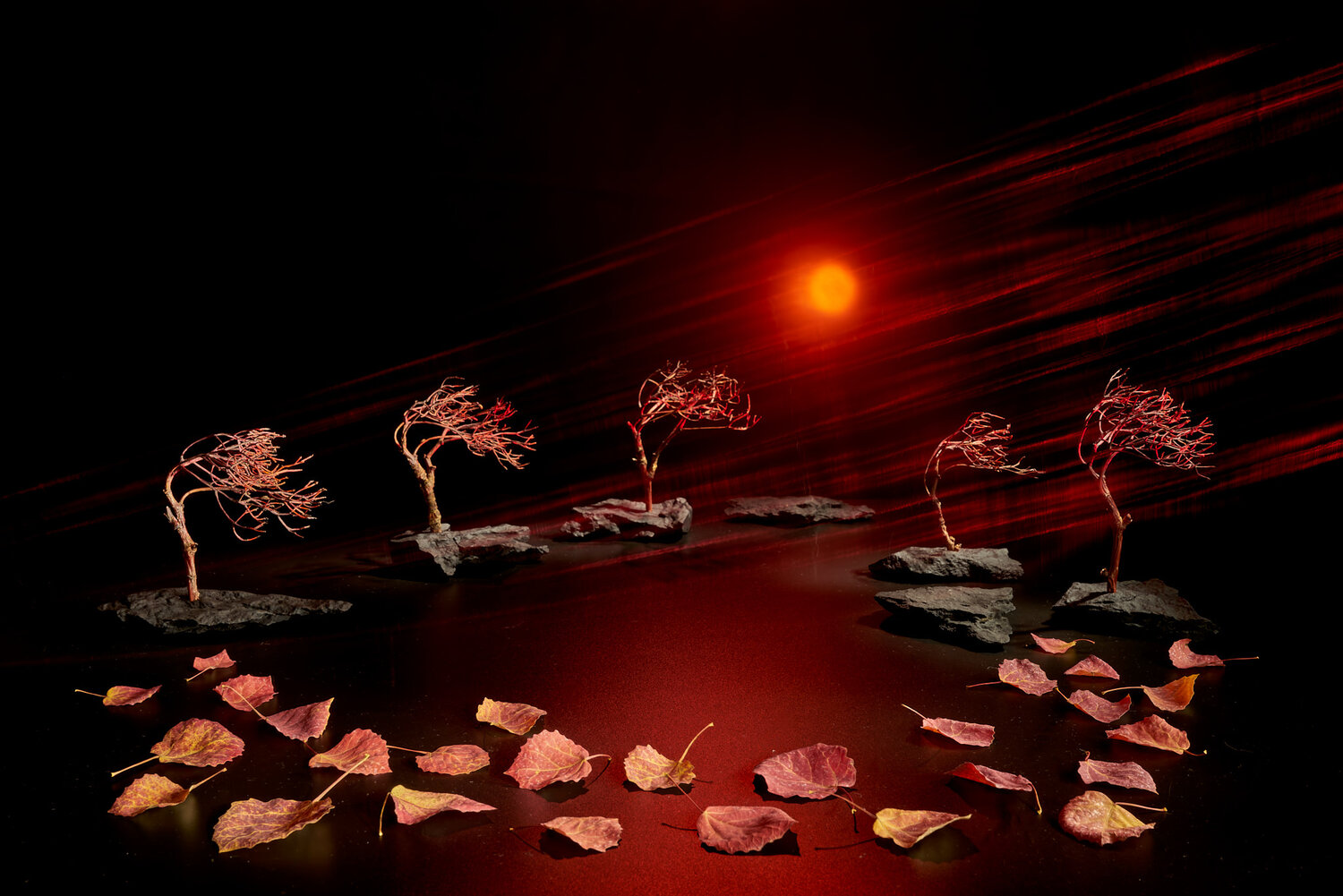 Photo #14095575