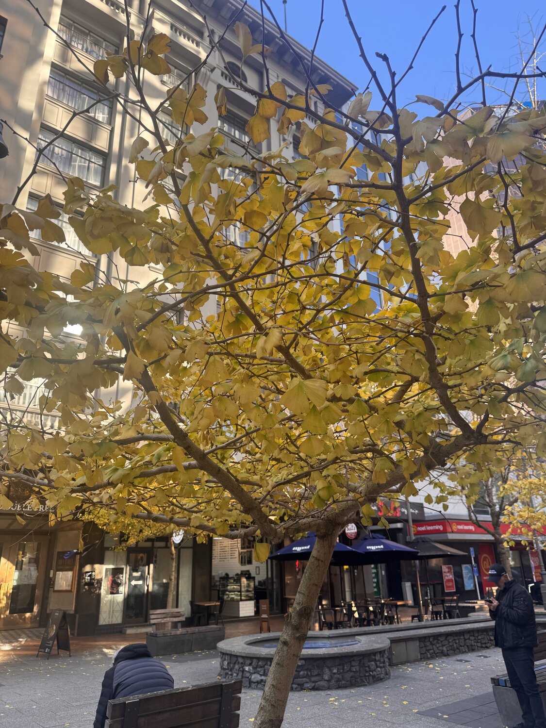Photo #14095592