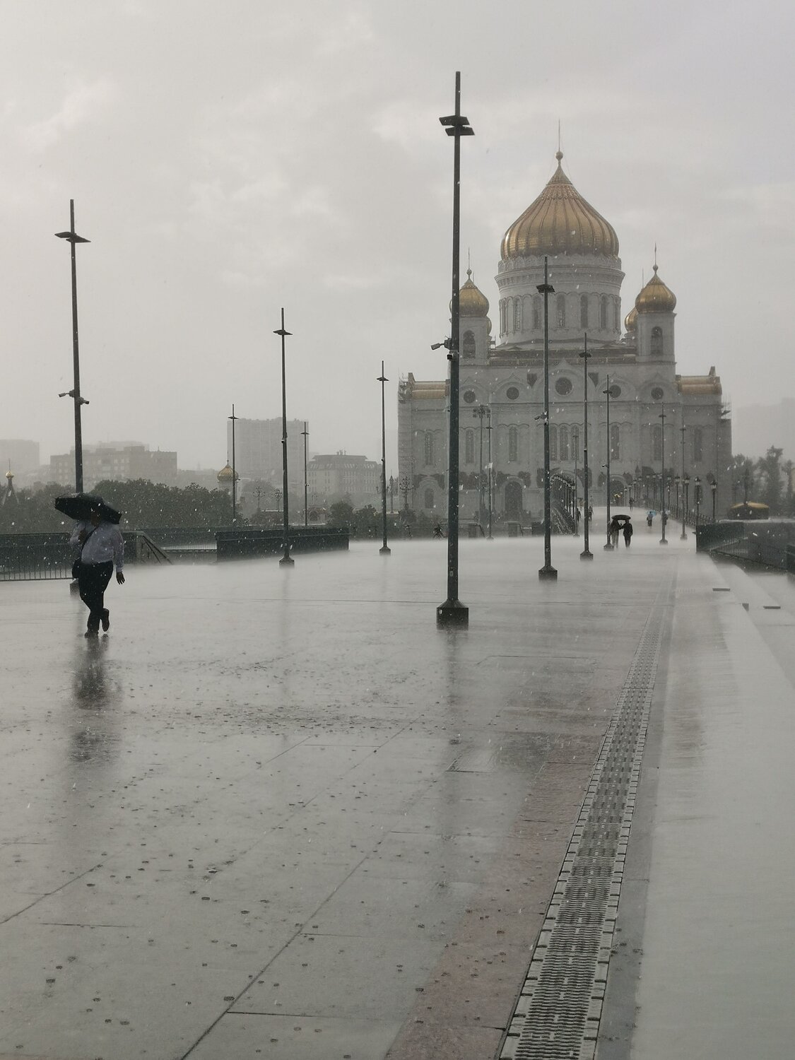 Photo #14095635