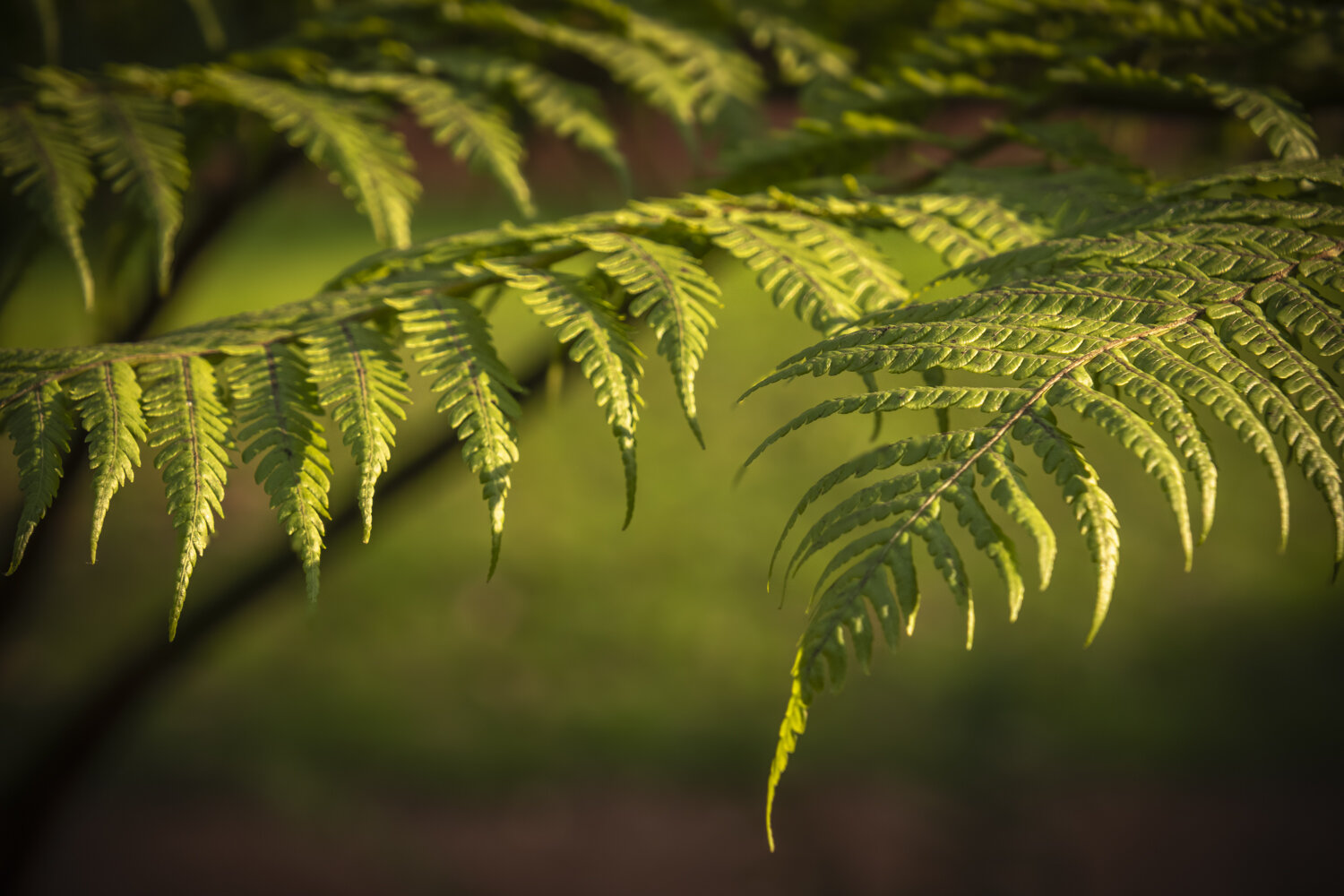 Photo #14095638
