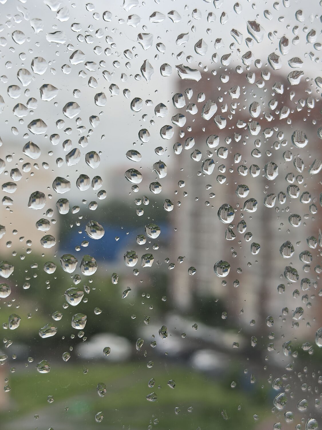 Photo #14095660