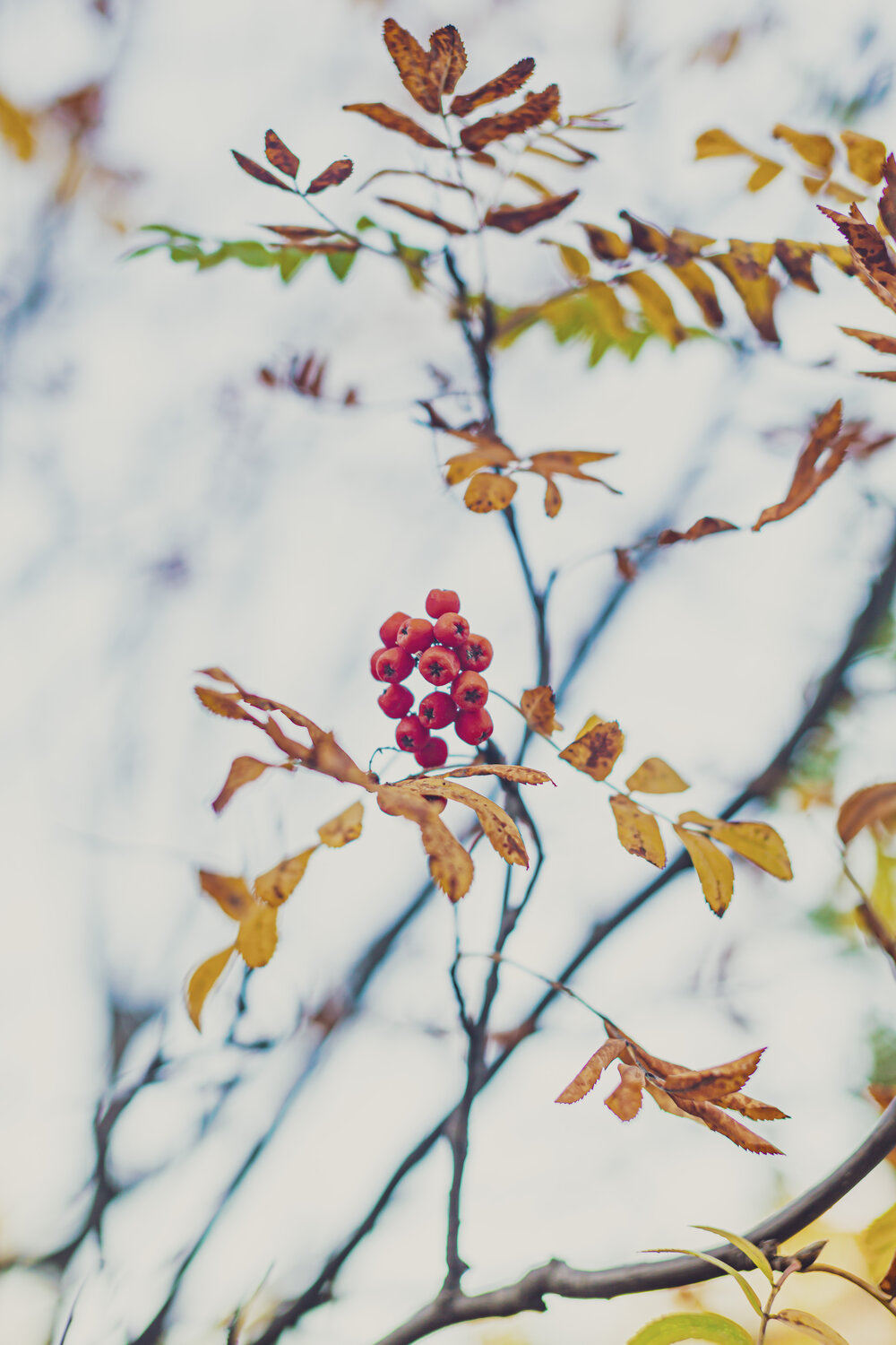 Photo #14095667