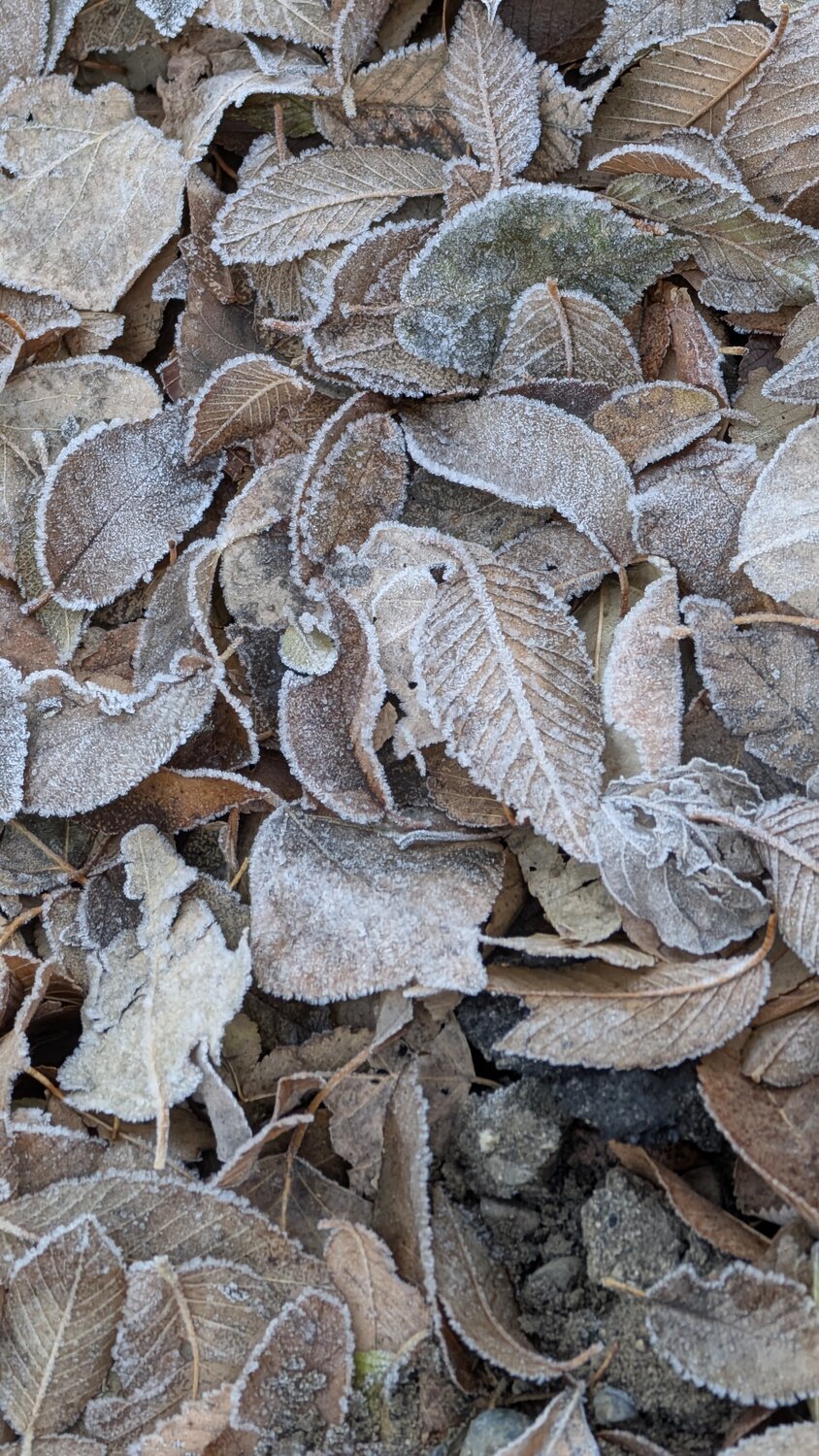 Photo #14095679