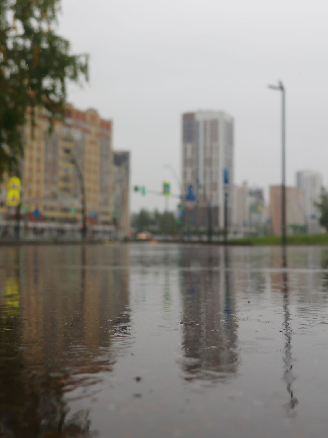 Photo #14095876