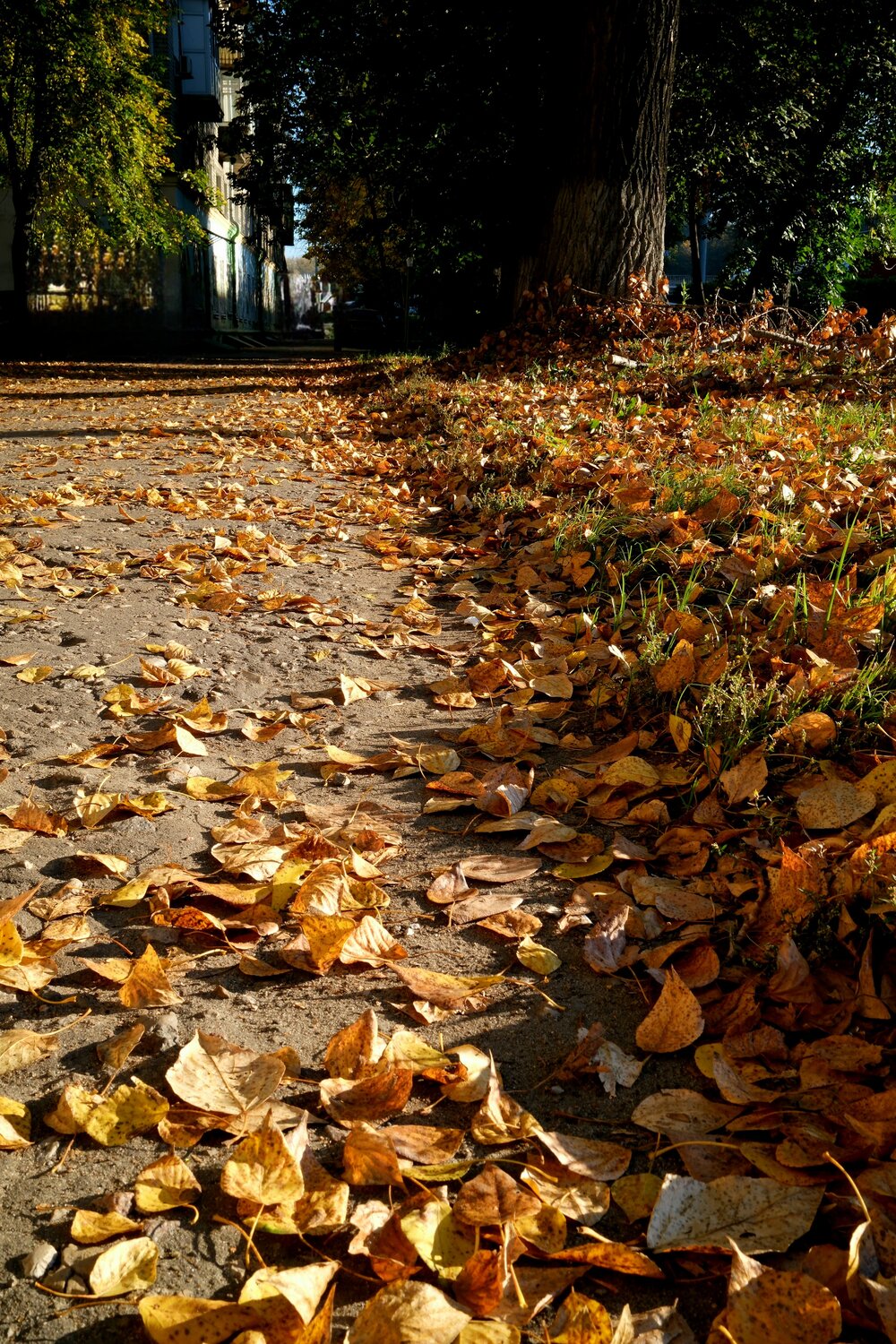 Photo #14095906