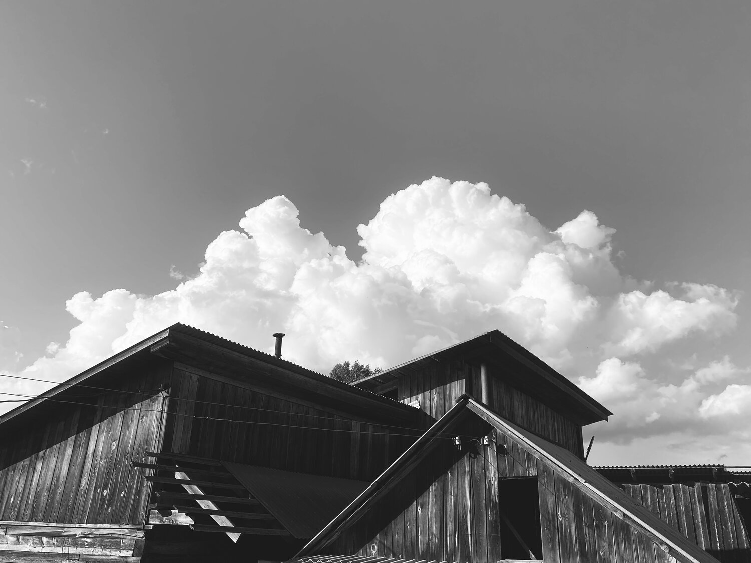 Photo #14095944