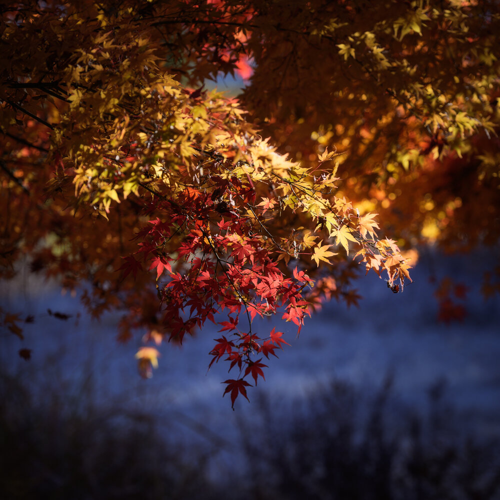 Photograph by Dmitry Ishniyazov