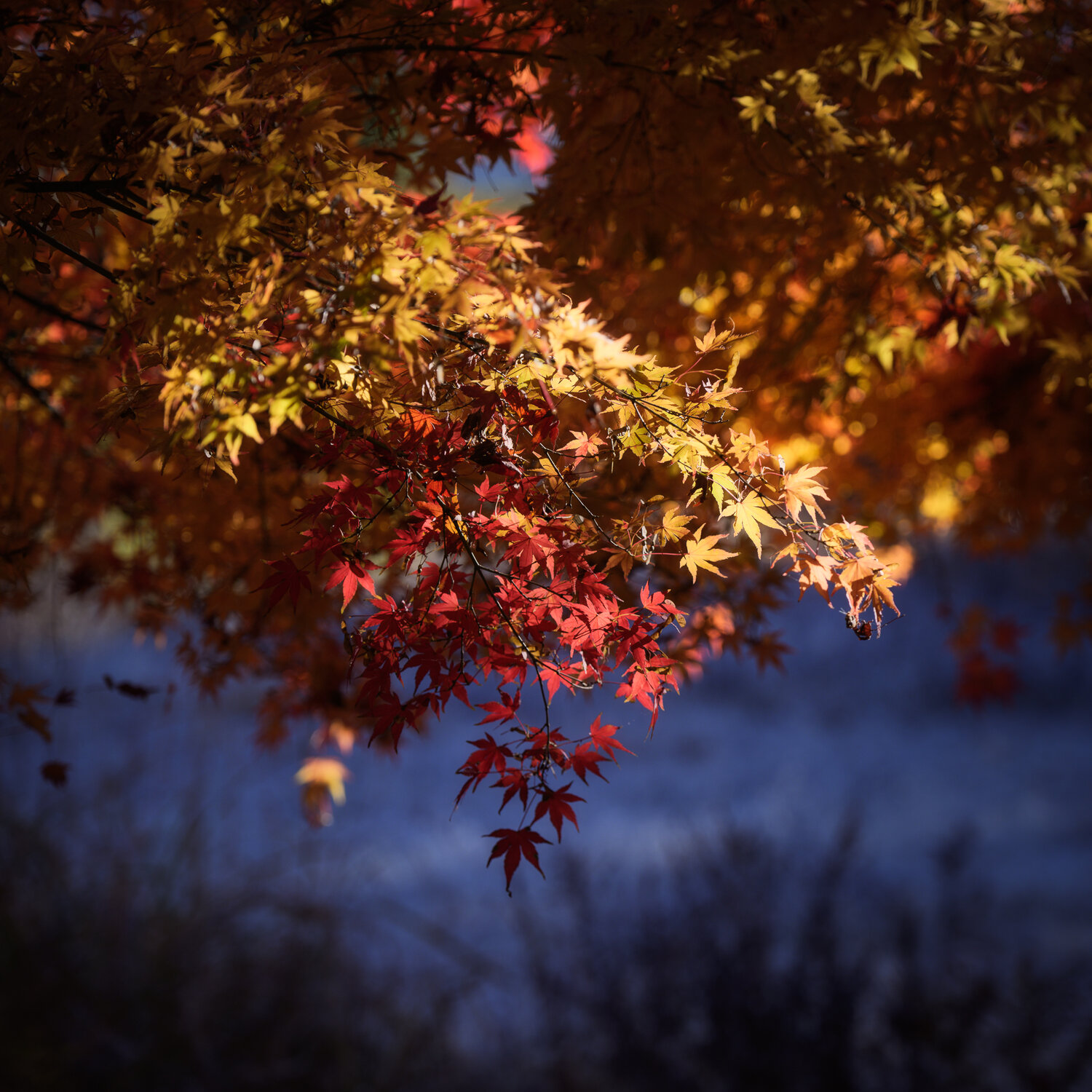 Photo #14095949