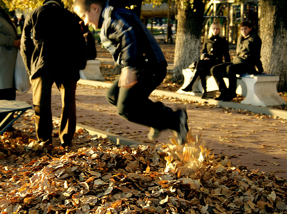 Photograph by Парк Юрский