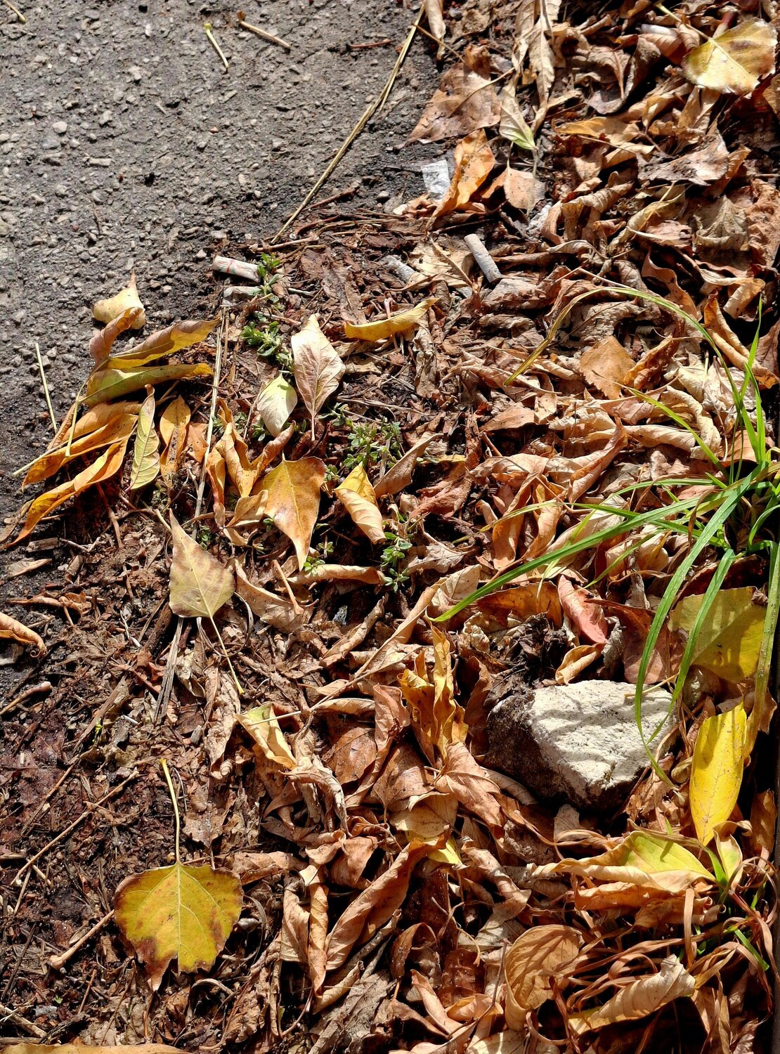 Photo #14096242